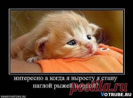 хх
