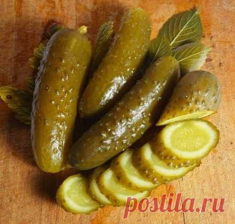 СОЛЕНЫЕ ОГУРЦЫ ПОД КАПРОНОВОЙ КРЫШКОЙ НА ЗИМУ
ДВА ВКУСНЫЙ РЕЦЕПТА!