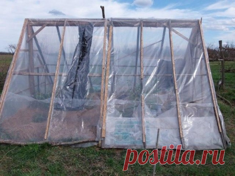 🍃Парник для огурцов

Парник для огурцов  является обязательным элементом практически на любом дачном участке. Благодаря ему создается особый микроклимат, необходимый для успешного выращивания овощных культур и получения богатого урожая. 
Существует несколько разновидностей парников и у каждого из них есть свои особенности.

У каждого, кто решил сделать парник на участке, возникает вопрос – приобрести готовую конструкцию или собрать ее самому. Оба варианта имеют свои досто...
