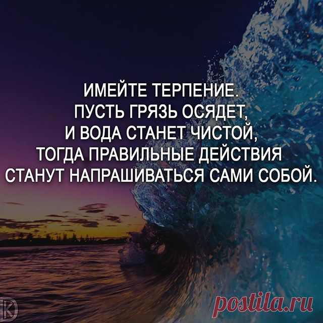 цитаты от эвелины хромченко - Поиск в Google
