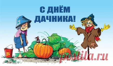 В День дачника желаю урожаев!
Пусть все на даче пахнет и цветет,
Пусть овощи и фрукты созревают
И радуют тебя из года в год!