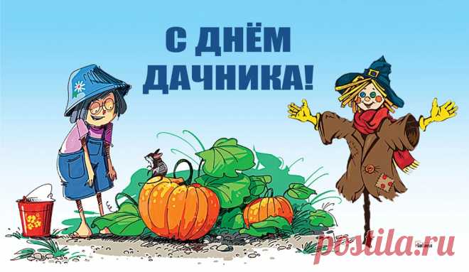 В День дачника желаю урожаев!
Пусть все на даче пахнет и цветет,
Пусть овощи и фрукты созревают
И радуют тебя из года в год!