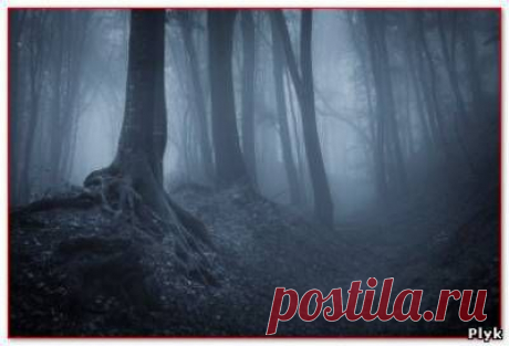 В мире мистики и загадок - Плюк - Блог о паранормальном и мистическом - Ку!