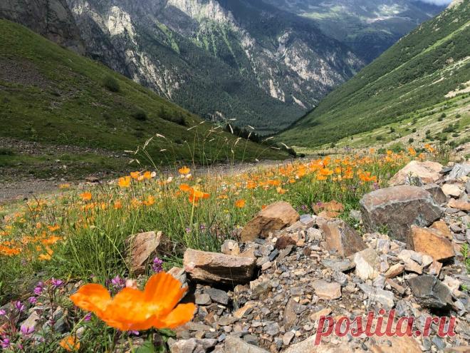 Самые Интересные экскурсии из Кисловодска. Города,который является вторым самым посещаемым курортом России после Сочи.