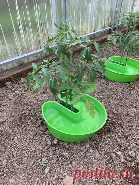 Купить лейки для полива комнатных растений в Москве и всей России по приемлемой цене