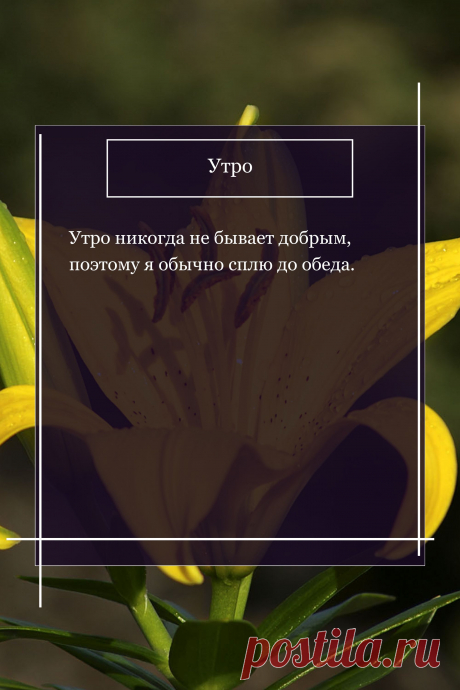 Цитата про «Утро» — Утро никогда не бывает добрым, поэтому я обычно…