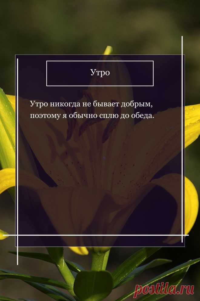 Цитата про «Утро» — Утро никогда не бывает добрым, поэтому я обычно…