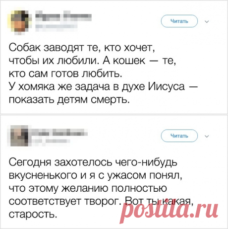Никогда не упускайте возможность упустить возможность. Ночного юмора пост...