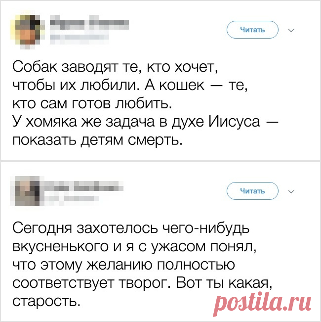 Никогда не упускайте возможность упустить возможность. Ночного юмора пост...