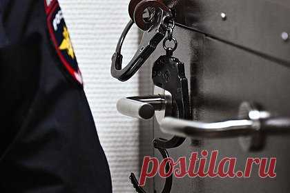 В Москве раскрыт совращавший школьниц в интернете педофил-язычник