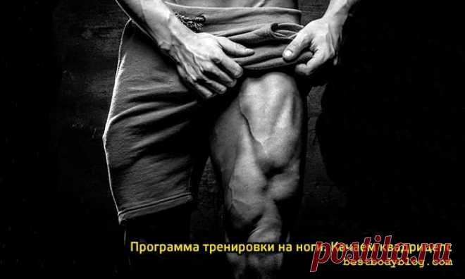 Программа тренировки ног. Или как накачать квадрицепс? | bestbodyblog.com