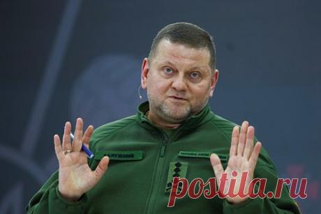 Залужного обвинили в провалившейся вербовке пилота ВКС России