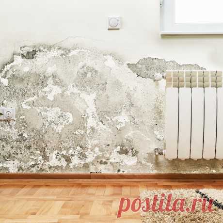 🧼 Клининговые услуги по уборке квартир, офисов, технических помещений
🔟 Большой опыт работ 🙇 Ответственность за порчу 💝 Приятные цены
🌍 Работаем по всей Москве и Московской области 📞 +7(969)022-34-60