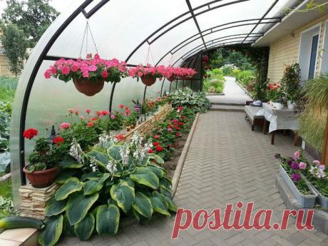 Одноклассники