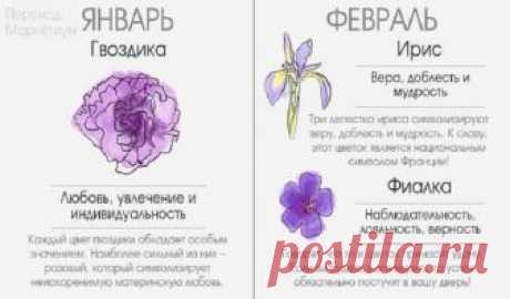 Цветочный гороскоп по дате рождения