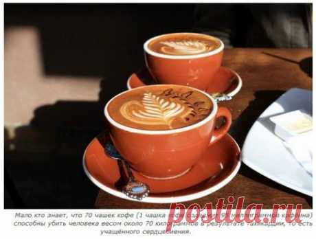 Смертельная доза для нашего организма