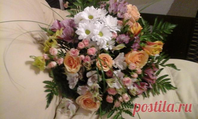 (62) Одноклассники