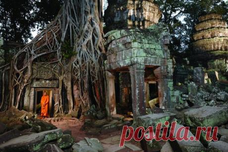 В четверг, 24 декабря, у нас откроется выставка «Самое удивительное». Собрали для вас 100 лучших фотографий со всего мира. Приходите!