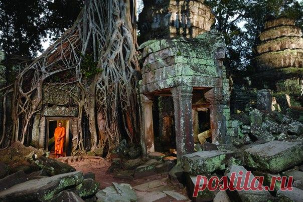 В четверг, 24 декабря, у нас откроется выставка «Самое удивительное». Собрали для вас 100 лучших фотографий со всего мира. Приходите!