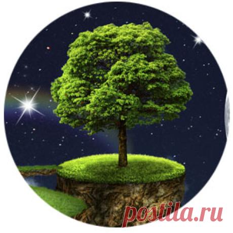 Техника-"Дерево жизни"
Техника-медитация для сонастройки Души