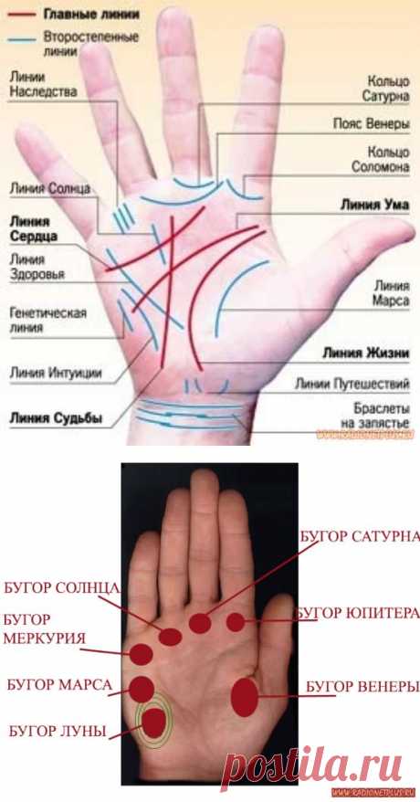 Профессия написана на вашей ладони