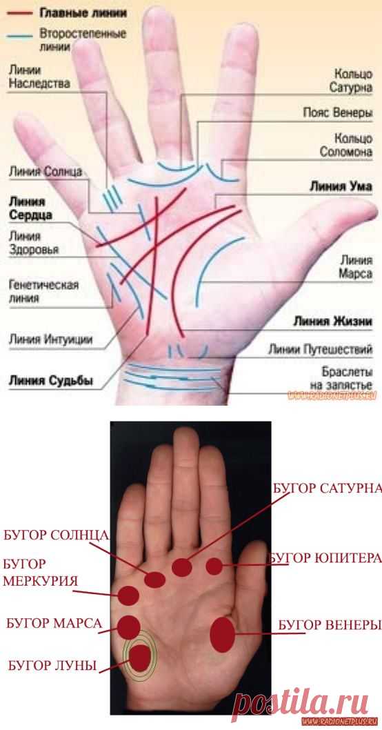 Профессия написана на вашей ладони