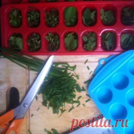 16 секретов к новому дачному сезону