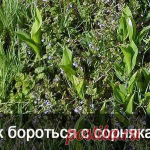 Зюганов: Все выглядит так, будто в правительстве сидит пятая колонна