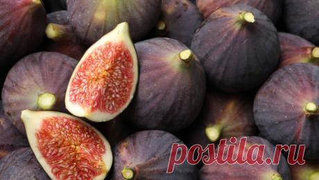 Врач предупредила о продуктах, способных вызвать солнечные ожоги. Сельдерей, петрушка и инжир могут усилить восприимчивость кожи к солнечному воздействию и привести к ожогам. Об этом "Москве 24" рассказала заведующая дневным стационаром федерального исследовательского центра (ФИЦ) питания и ...