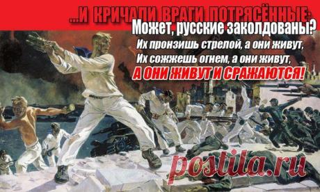 Южный фронт | Антимайдан