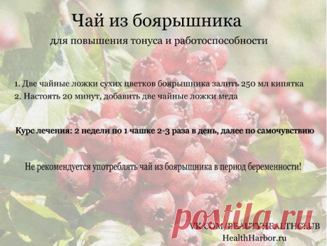 Уникальный отвар для укрепления стенок сосудов!