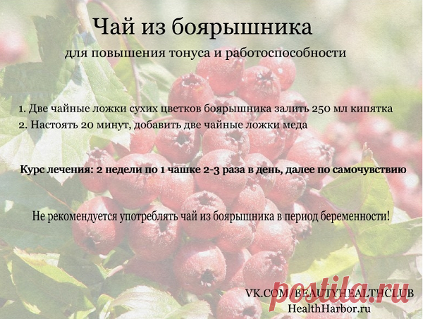Уникальный отвар для укрепления стенок сосудов!