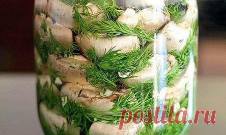 (50) Одноклассники