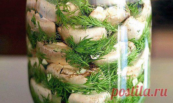 (50) Одноклассники