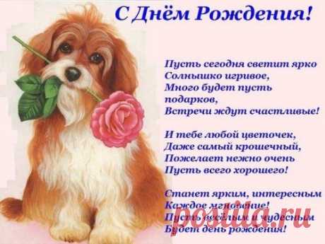 Плейкаст «С ДНЕМ РОЖДЕНИЯ, ВНУЧКА !!!»