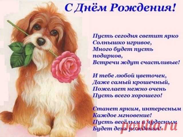 Плейкаст «С ДНЕМ РОЖДЕНИЯ, ВНУЧКА !!!»