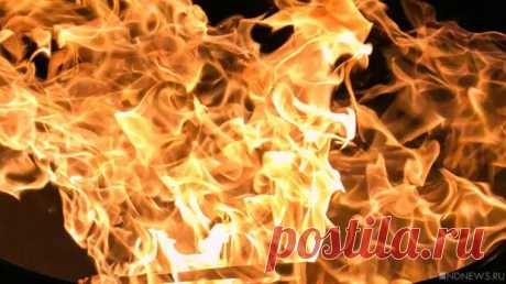 bp.webp (620×348)