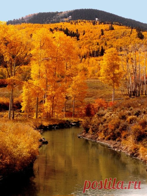 🎃witches brew🎃 - 🍁autumn blog🍂