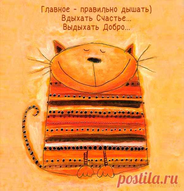«Чтобы улучшить настроение, человек часто прибегает к разным видам допинга. При малейшей неприятности все положительное расположение мгновенно улетучивается. Но существуют простые и доступные каждому ч...» — карточка пользователя Natali Romanova в Яндекс.Коллекциях