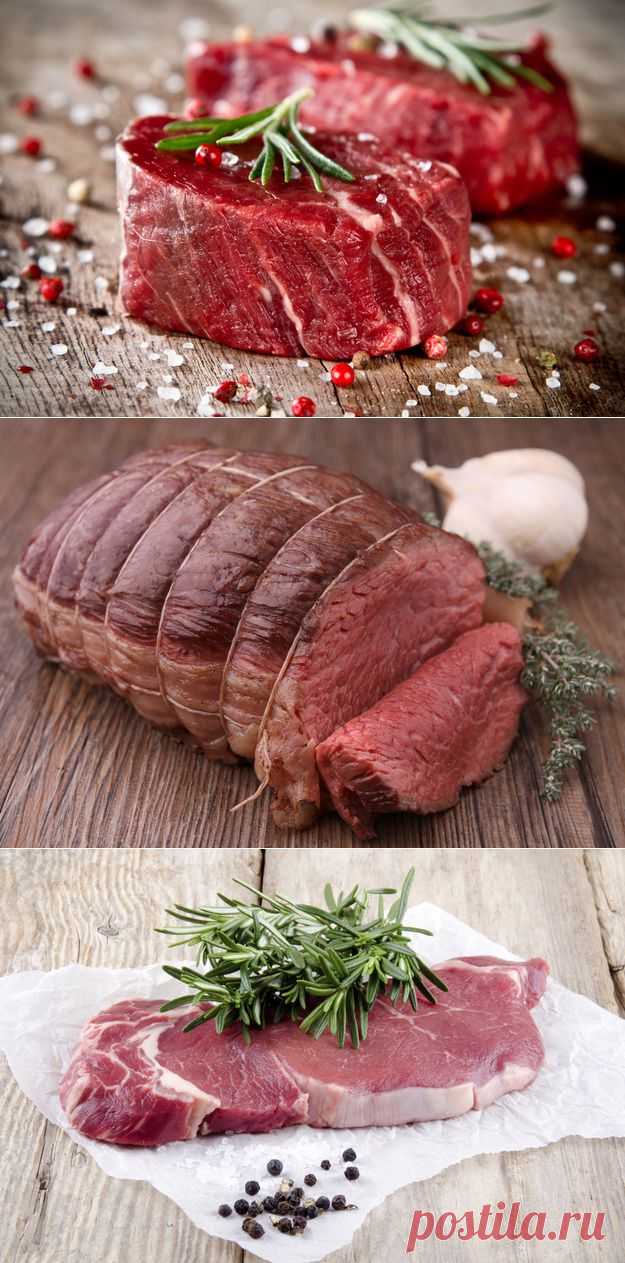 (+1) тема - Как выбирать и готовить разные части говядины | Среда обитания
Как подобрать оптимальный кусок говядины, чтобы блюдо получилось не хуже ресторанного? Из чего получатся вкусные, мягкие стейк и шашлык?

А из какой части туши приготовить наваристый бульон? Сегодня мы рассмотрим все это вопросы под прицелом.