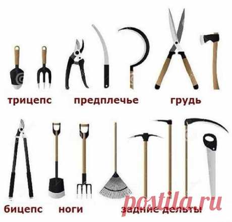 Альтернатива тренажерному залу))