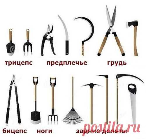 Альтернатива тренажерному залу))