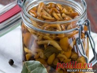 Рецепт: Грибы маринованные опята