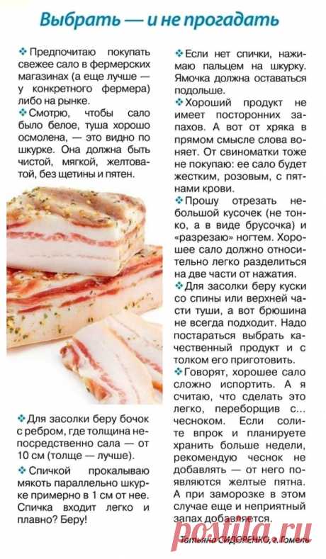 Выбираем сало для засолки
