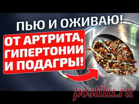 Старый аптекарь: Вместо дорогих лекарств отвар от артрита, подагры, гипертонии и для стенок сосудов!