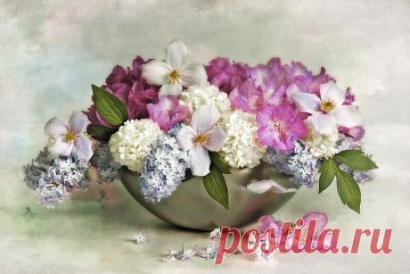 Нежная красота от Lizzy Pe (Лиззи Пе)