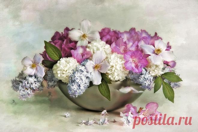 Нежная красота от Lizzy Pe (Лиззи Пе)