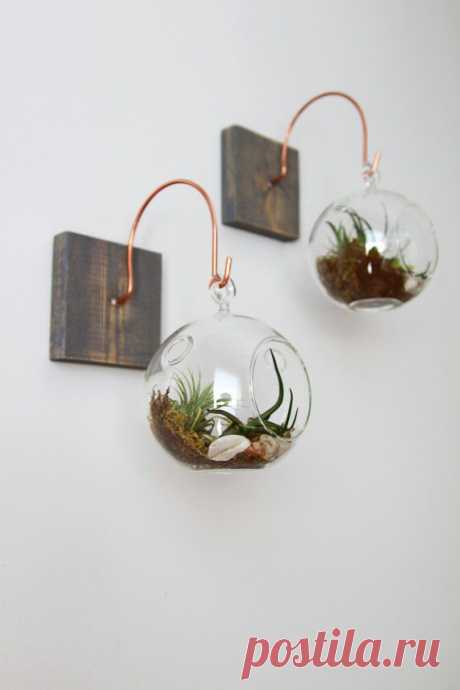 Wood and Copper Mount with Terrarium // Unique от GemsOfTheSoil