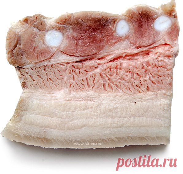 Шпондер варёный (Варёная грудинка) &ndash; Украина &ndash; рецепт