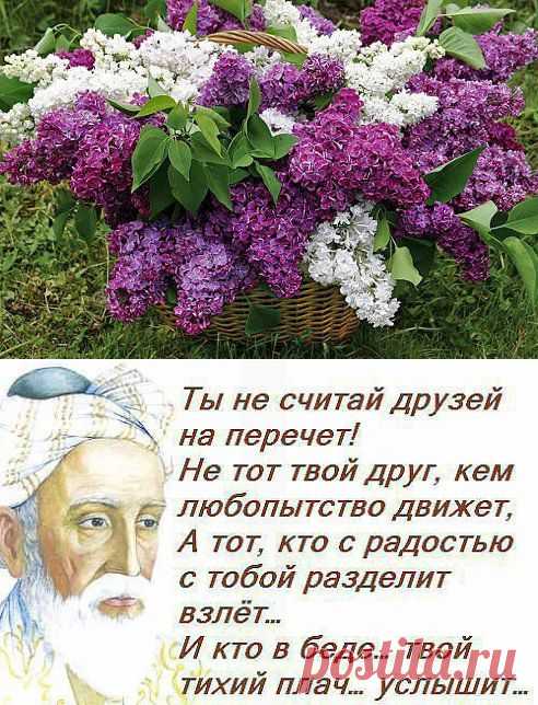 Одноклассники